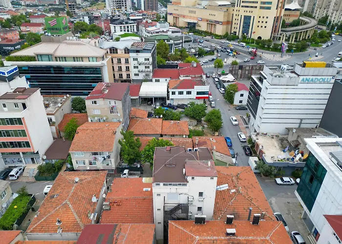 فندق Minimalist *